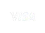 Visa card deposits accepted at Realz Casino Australia